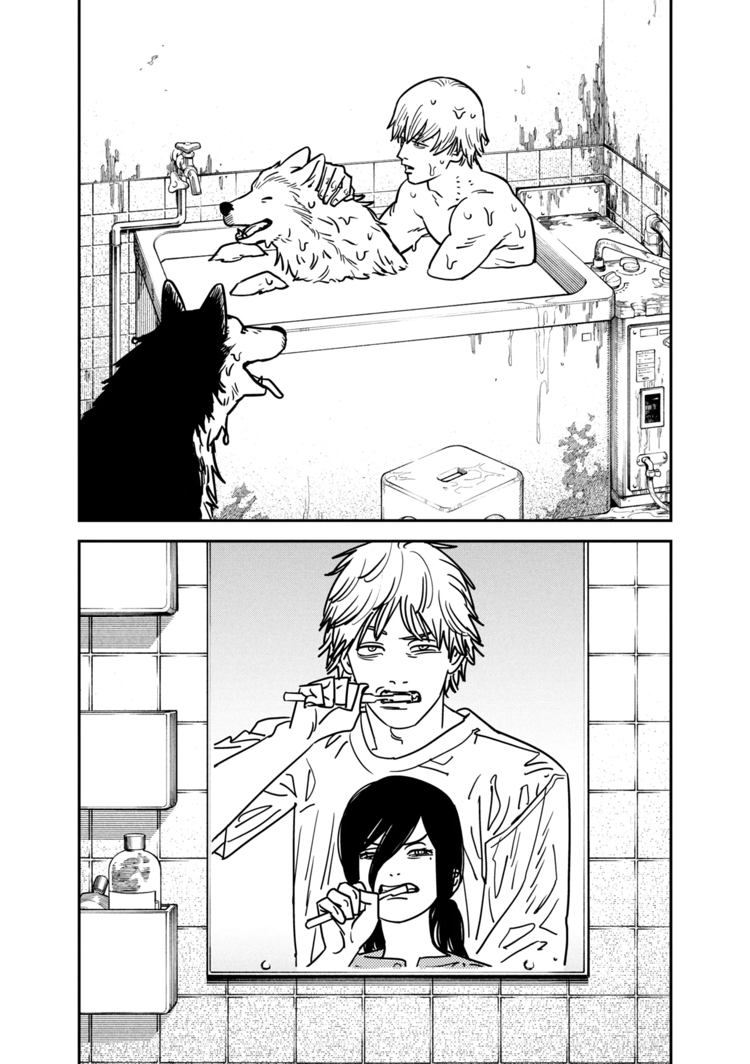 Read Chainsaw Man ar Manga Online