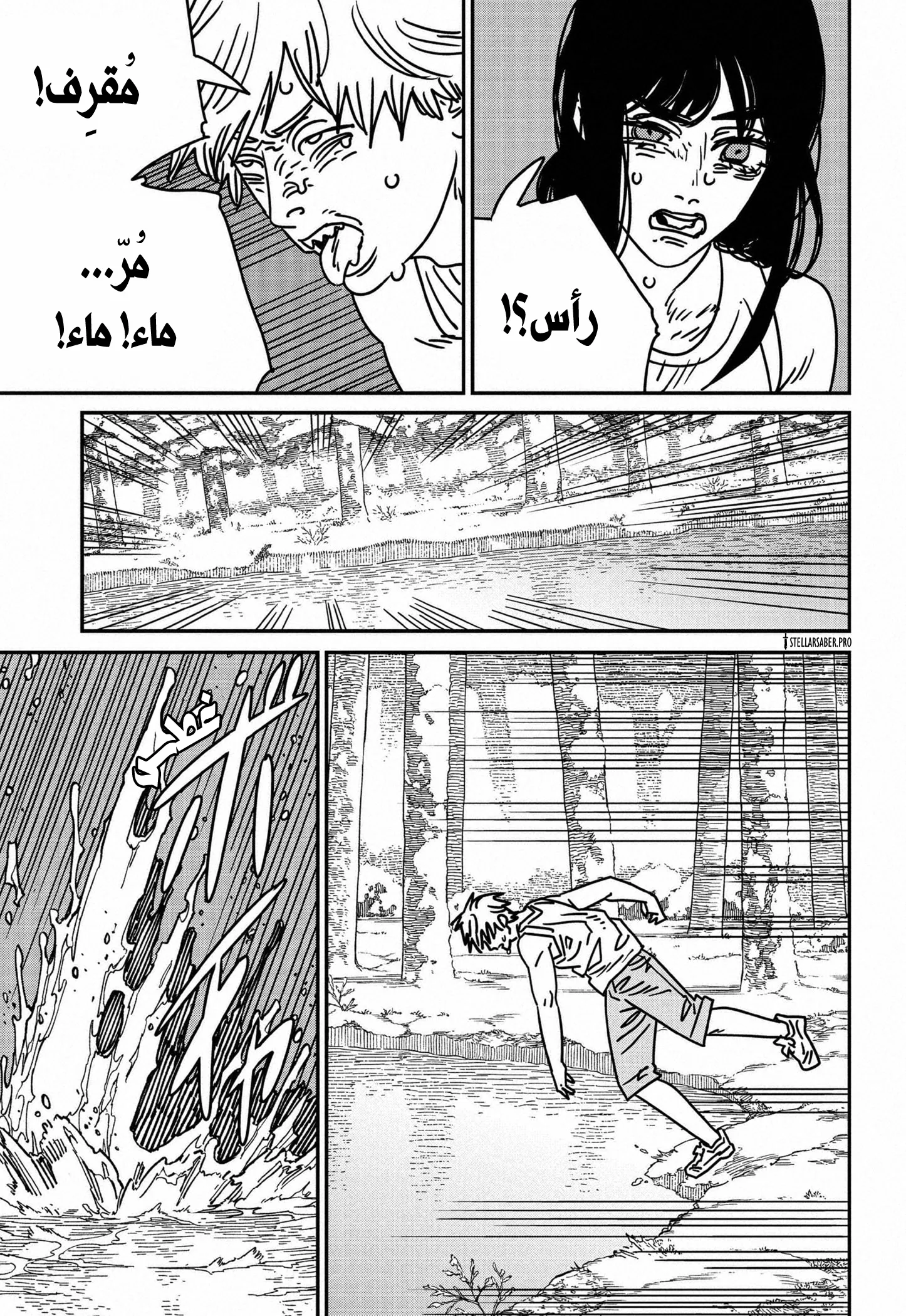 Read Chainsaw Man ar Manga Online