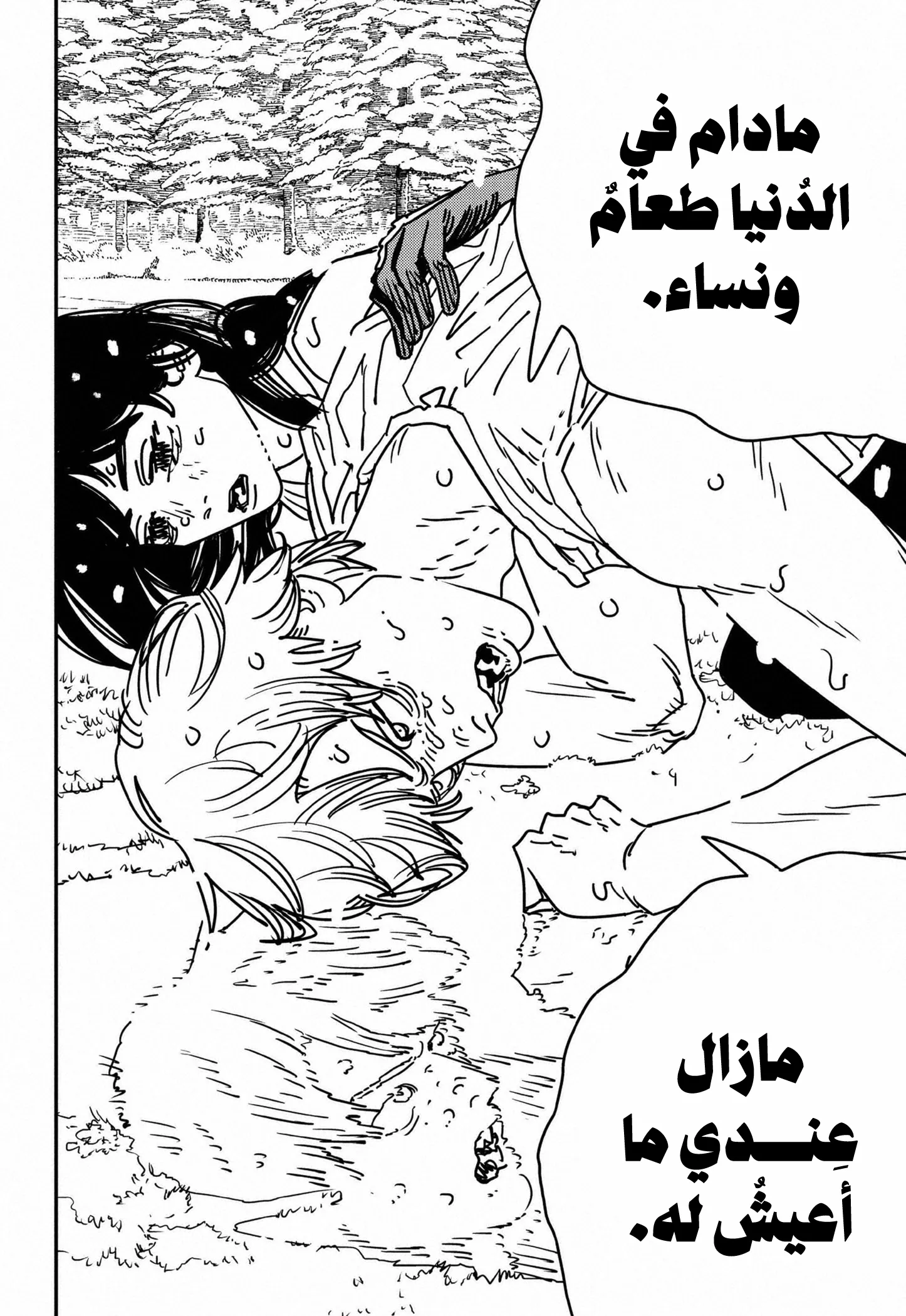 Read Chainsaw Man ar Manga Online