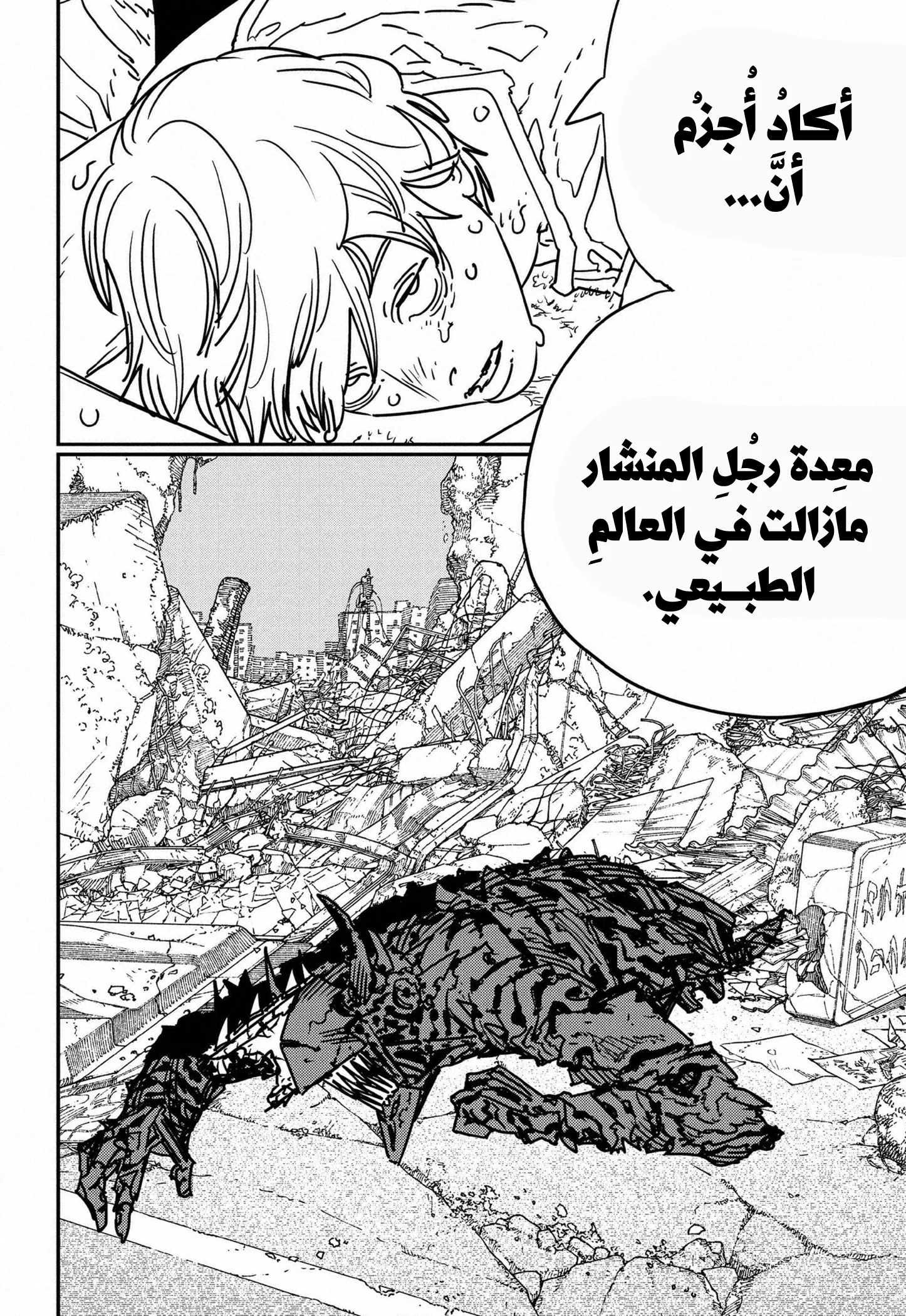 Read Chainsaw Man ar Manga Online
