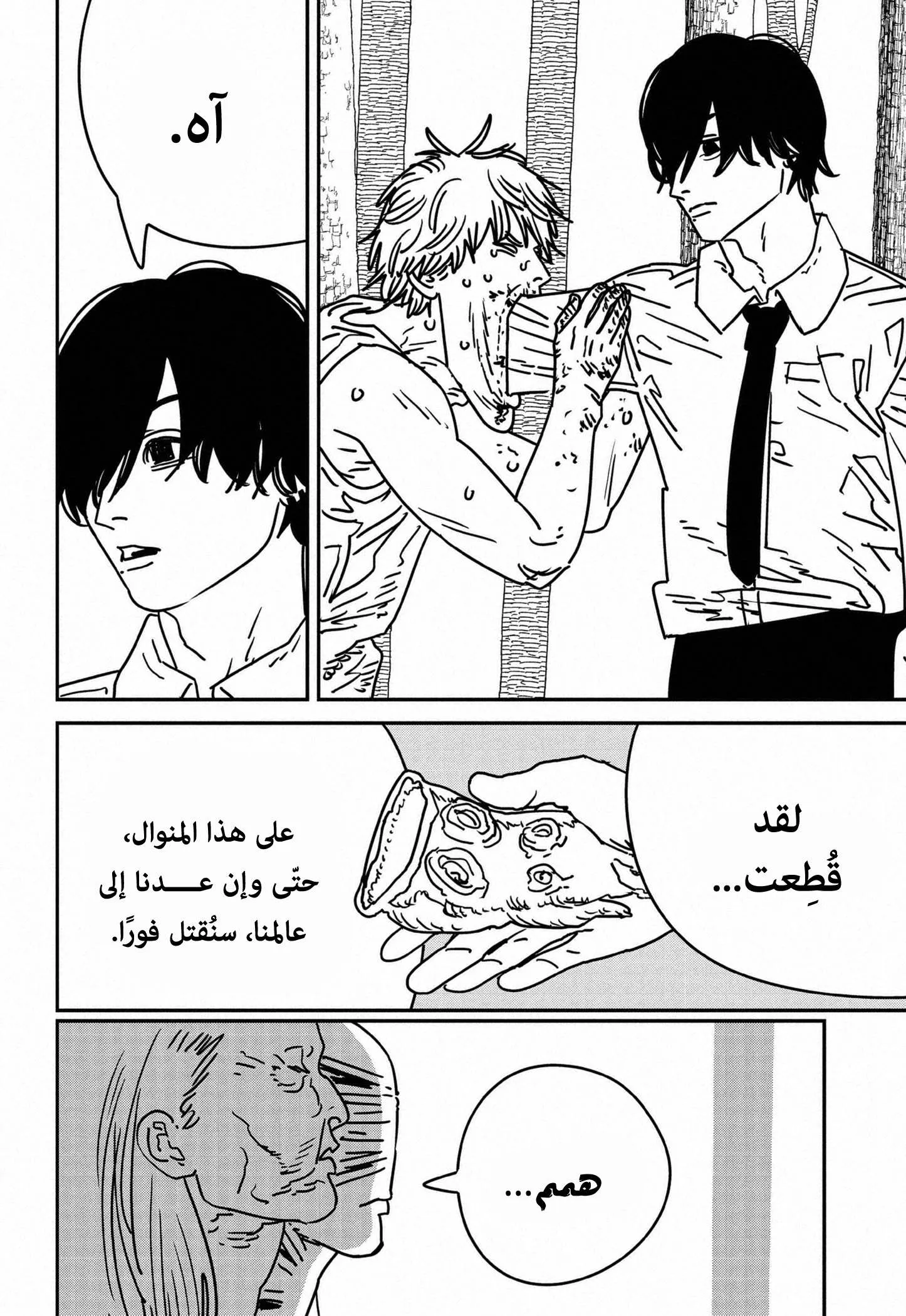 Read Chainsaw Man ar Manga Online