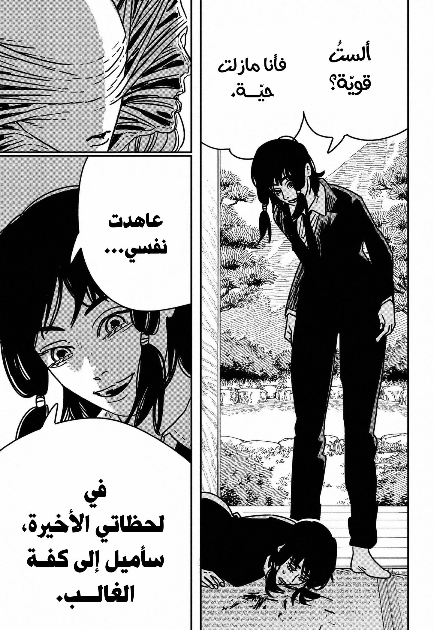 Read Chainsaw Man ar Manga Online