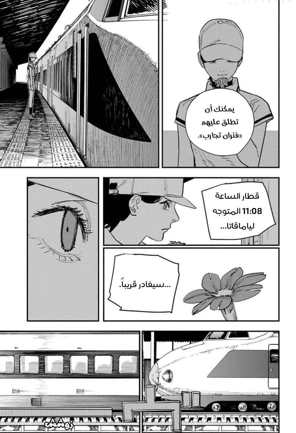 Read Chainsaw Man ar Manga Online