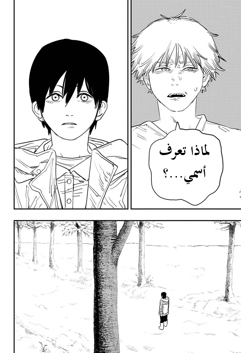 Read Chainsaw Man ar Manga Online