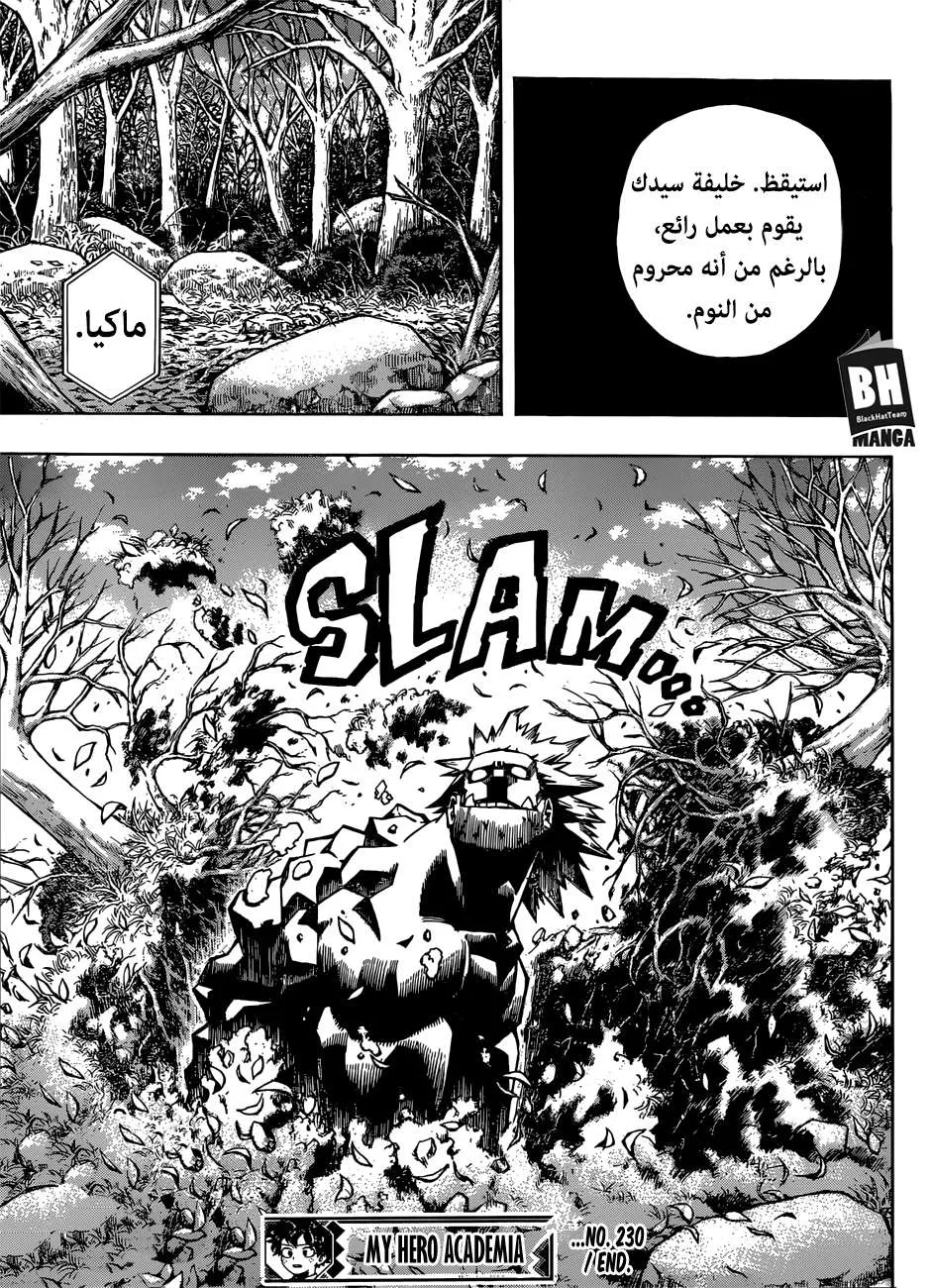 Read boku no hero ar Manga Online
