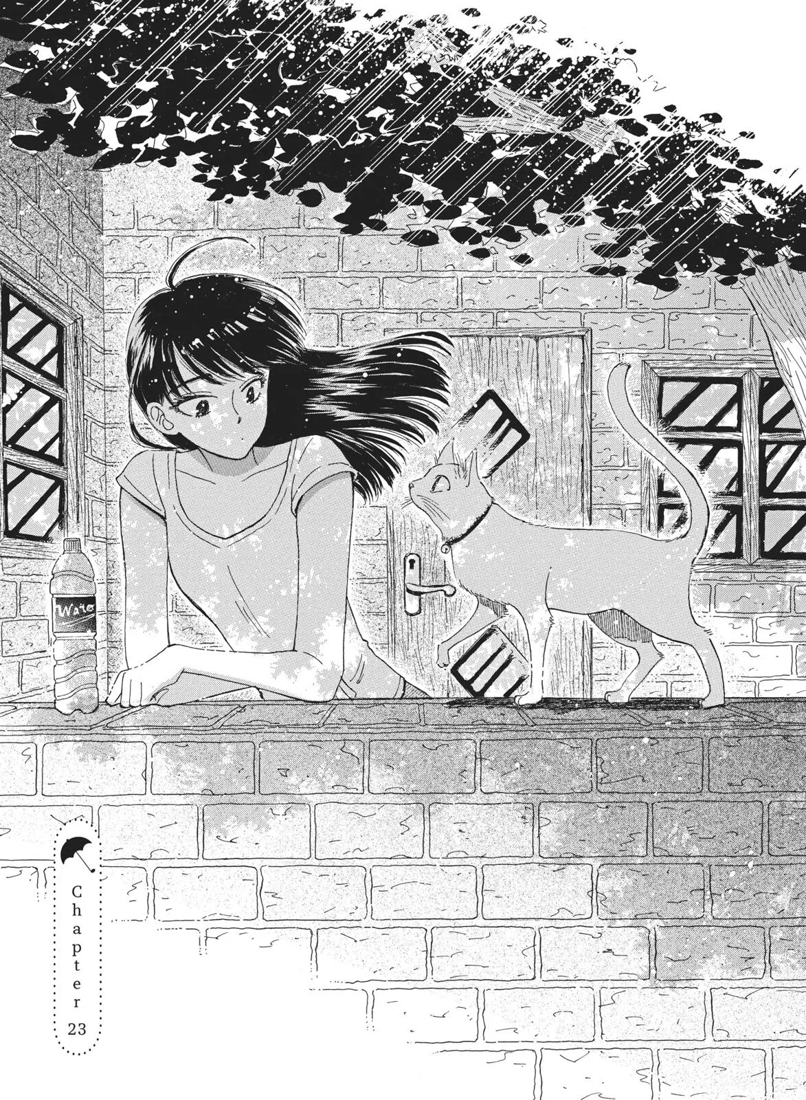 Read After the Rain en Manga Online
