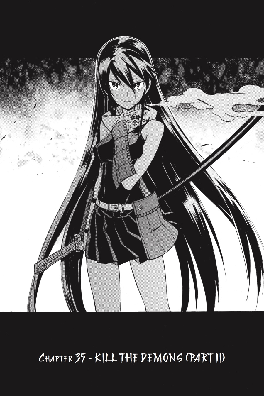Read Akame ga Kill en Manga Online