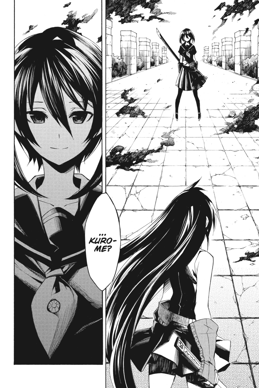 Read Akame ga Kill en Manga Online