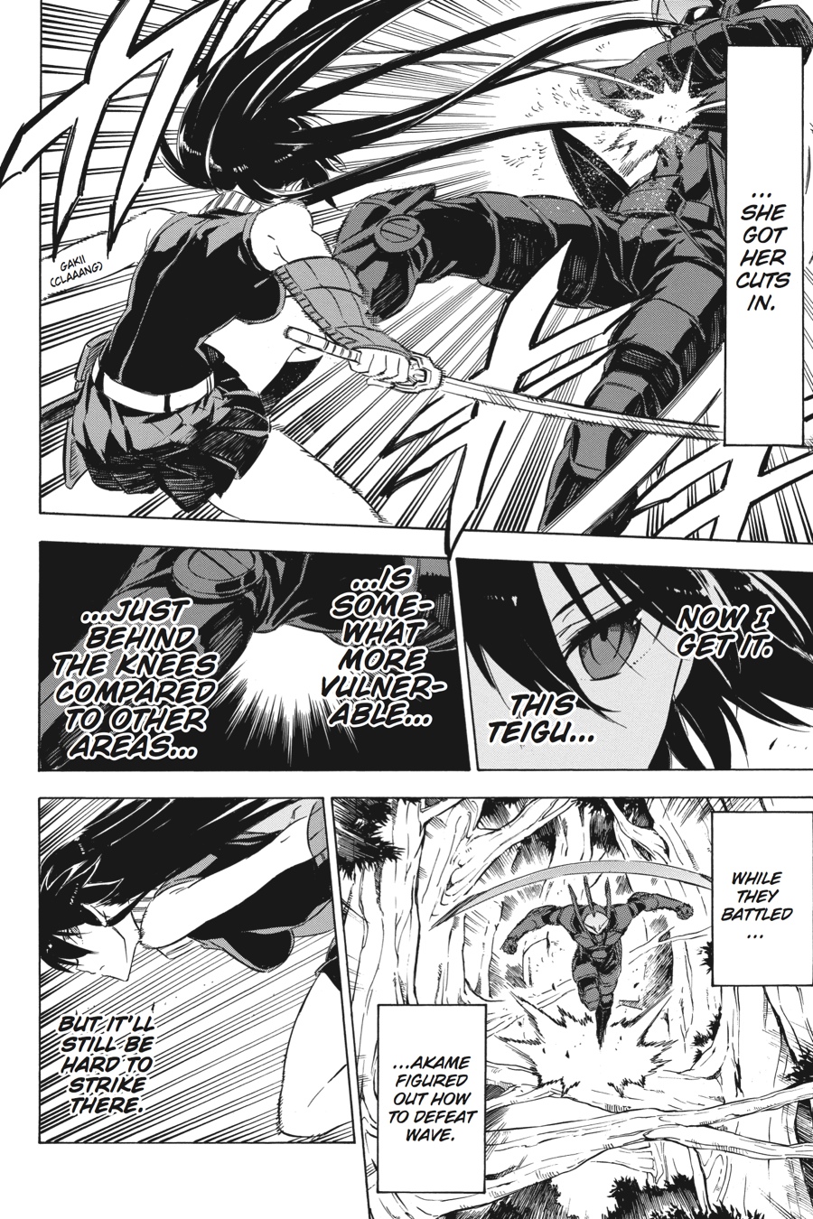 Read Akame ga Kill en Manga Online