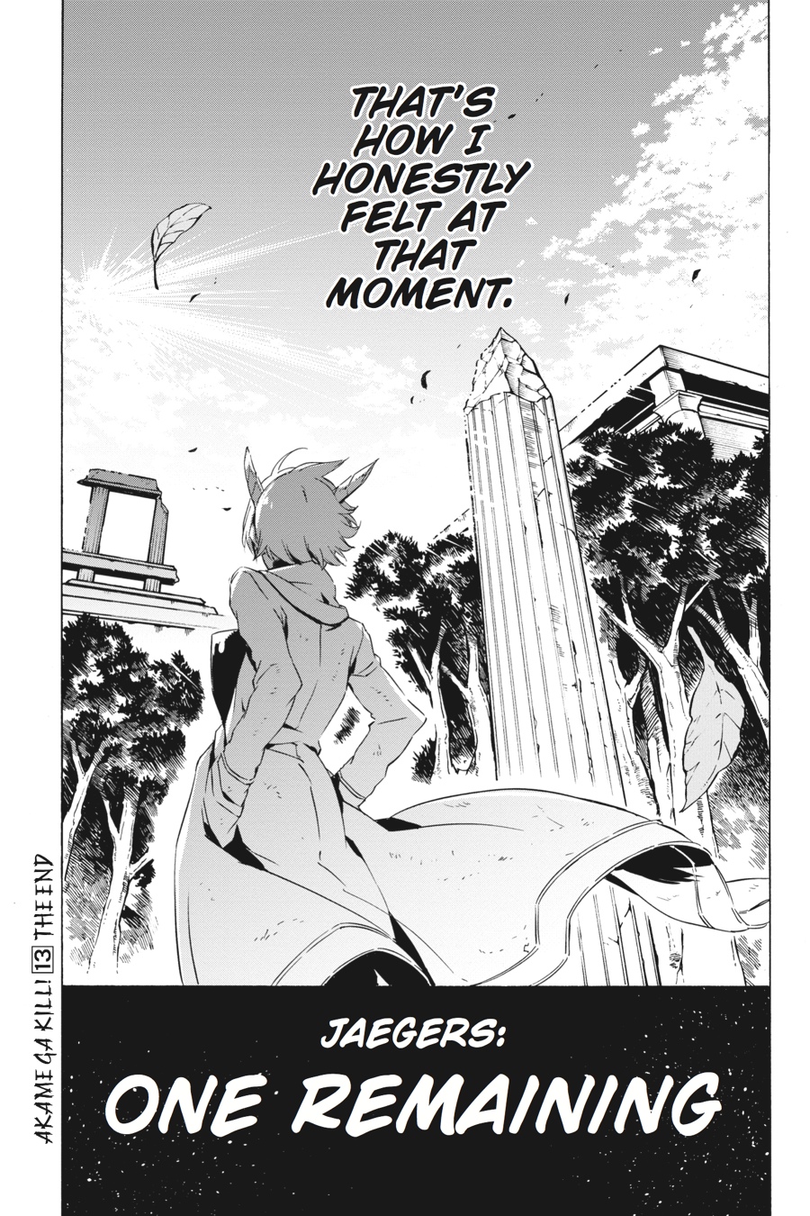 Read Akame ga Kill en Manga Online