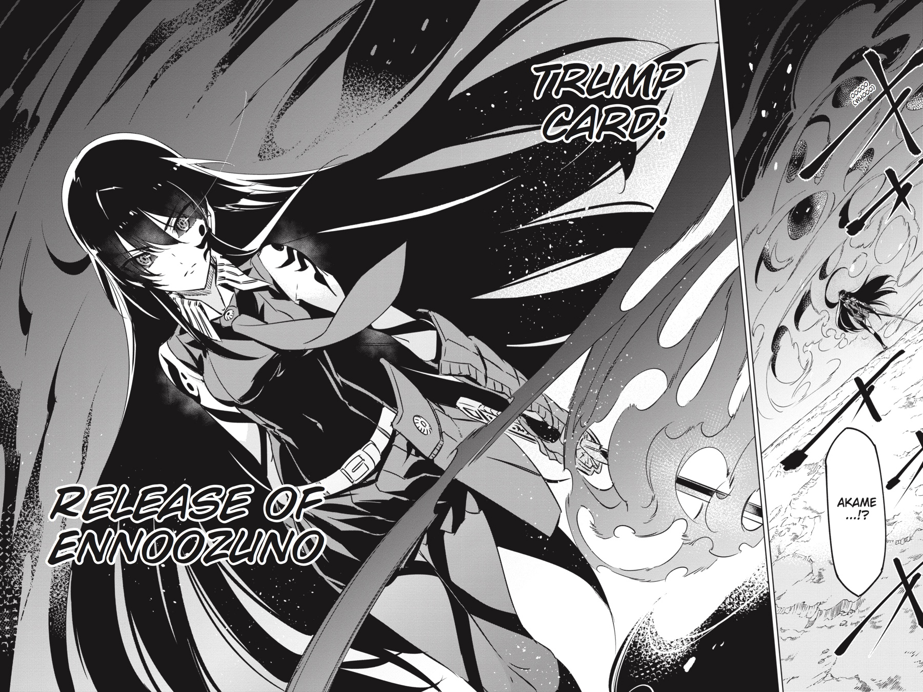 Read Akame ga Kill en Manga Online