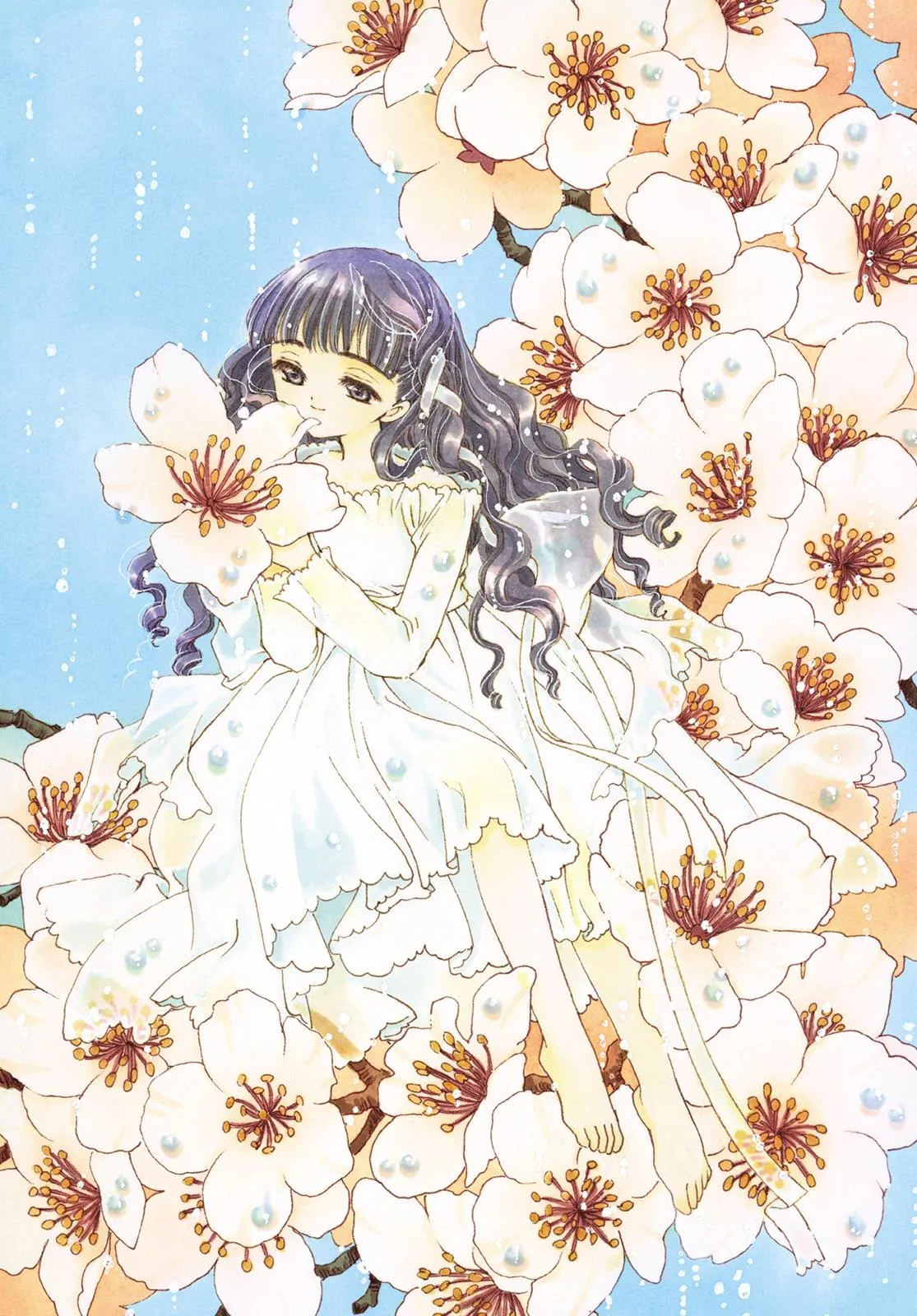 Read Cardcaptor Sakura en Manga Online