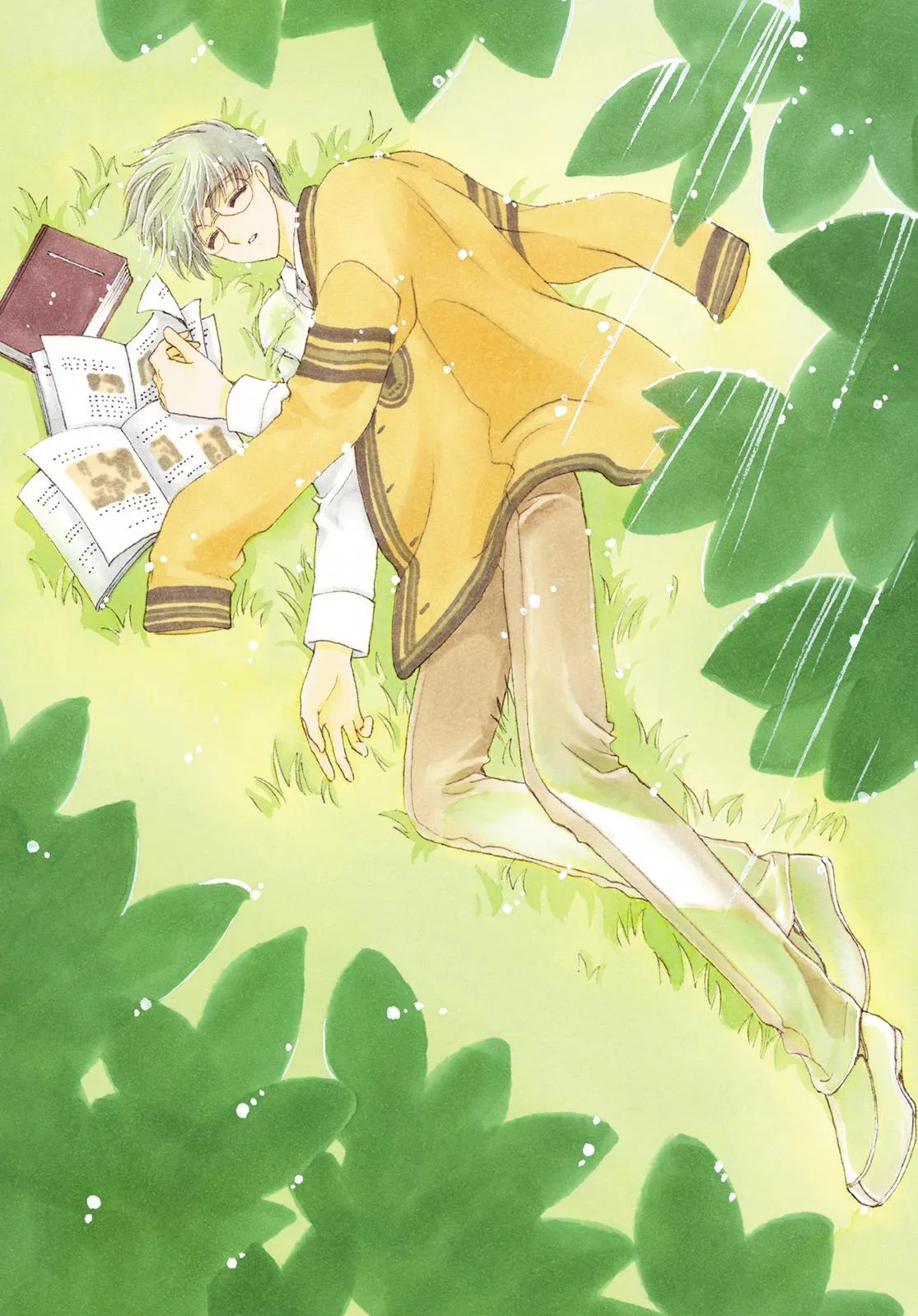 Read Cardcaptor Sakura en Manga Online