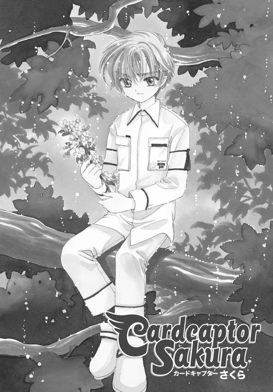Read Cardcaptor Sakura en Manga Online