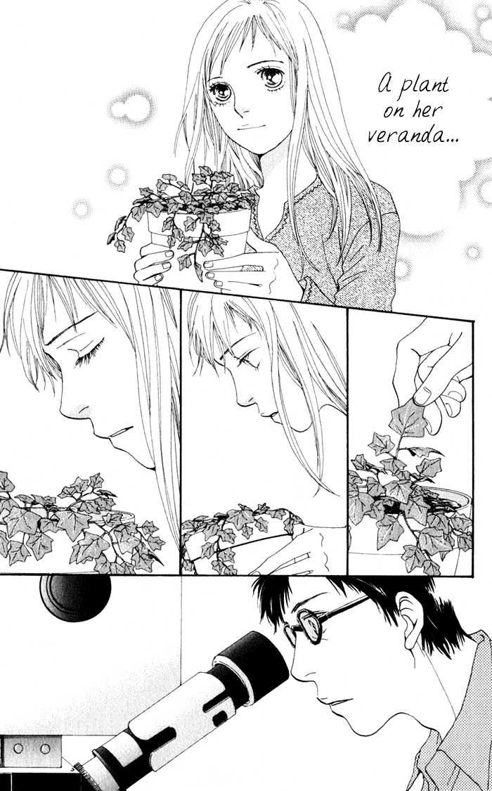 Read Cat Street en Manga Online