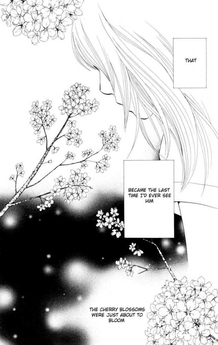 Read Cat Street en Manga Online