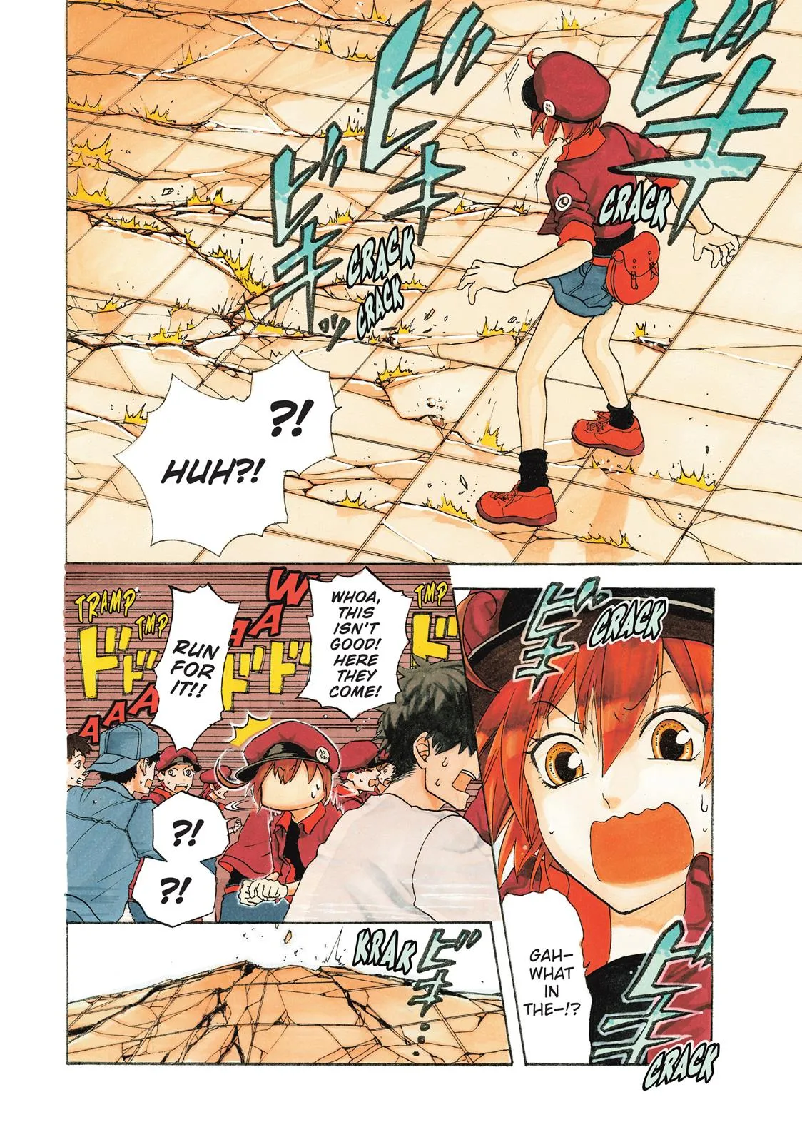 Read Cells at Work en Manga Online