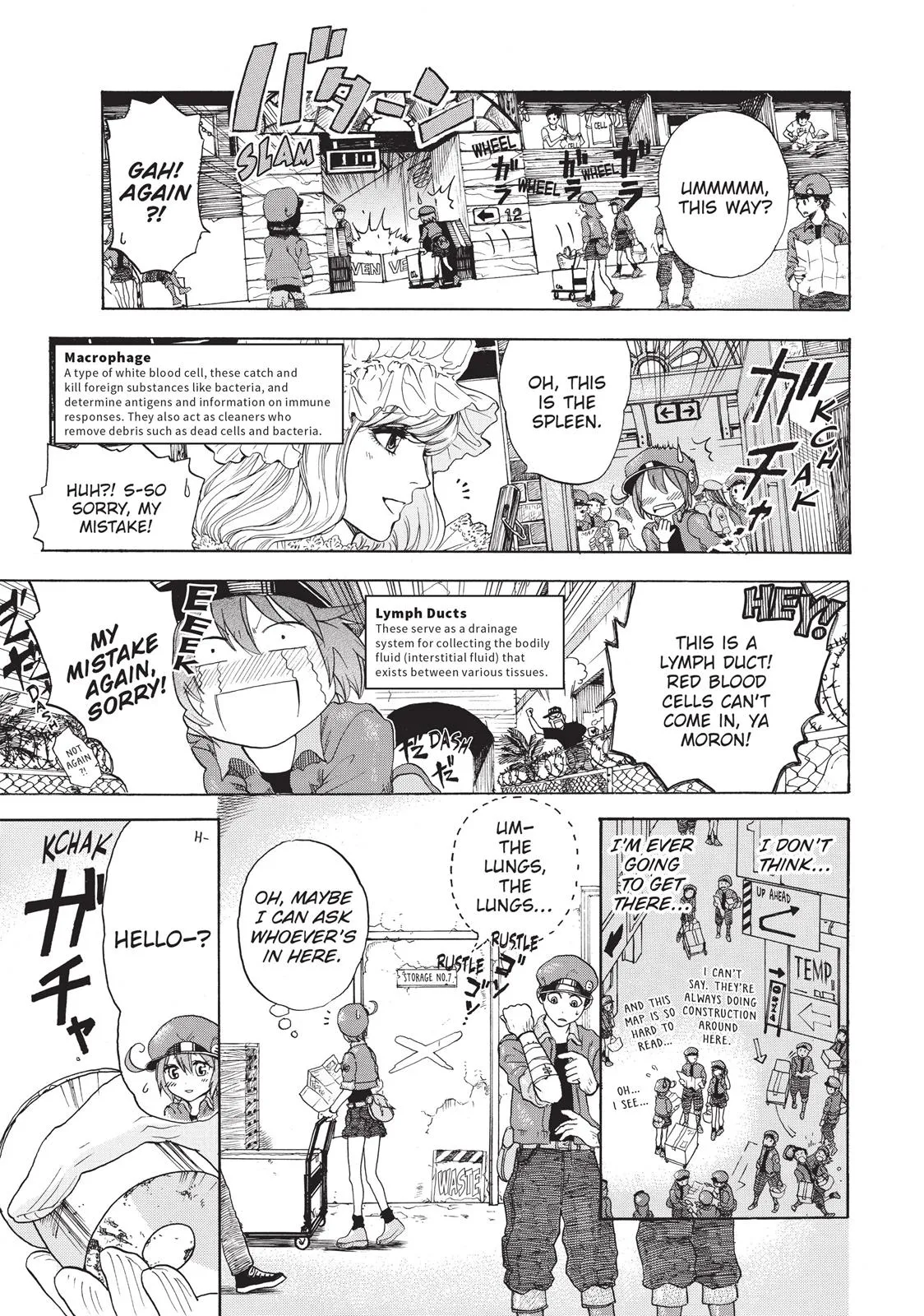 Read Cells at Work en Manga Online