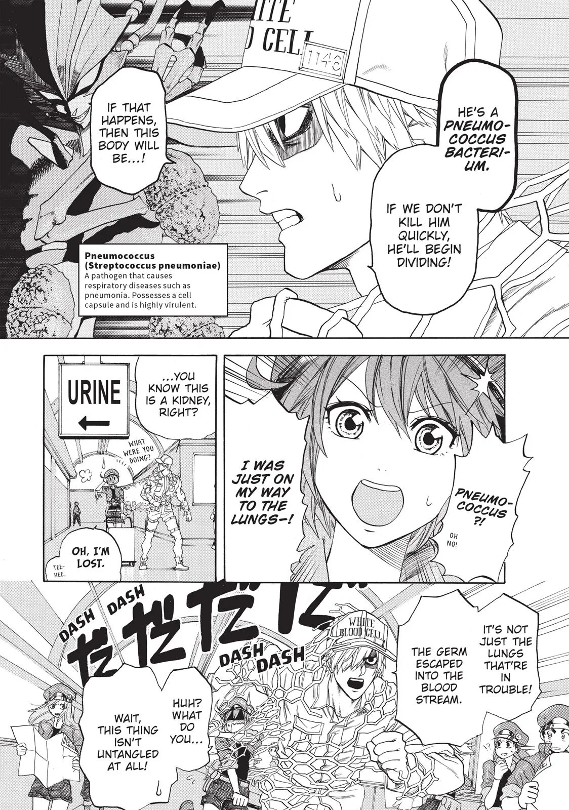 Read Cells at Work en Manga Online