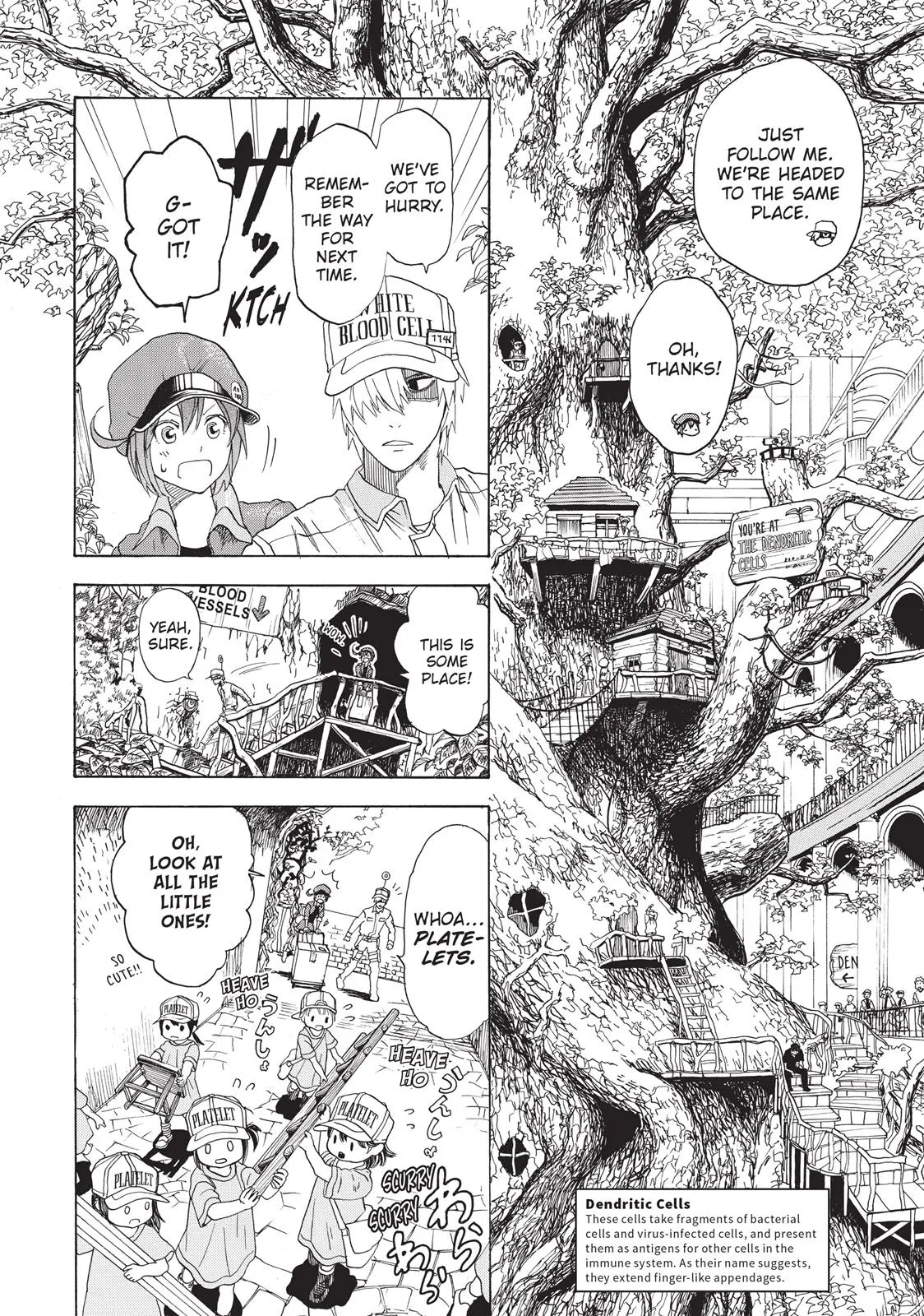 Read Cells at Work en Manga Online