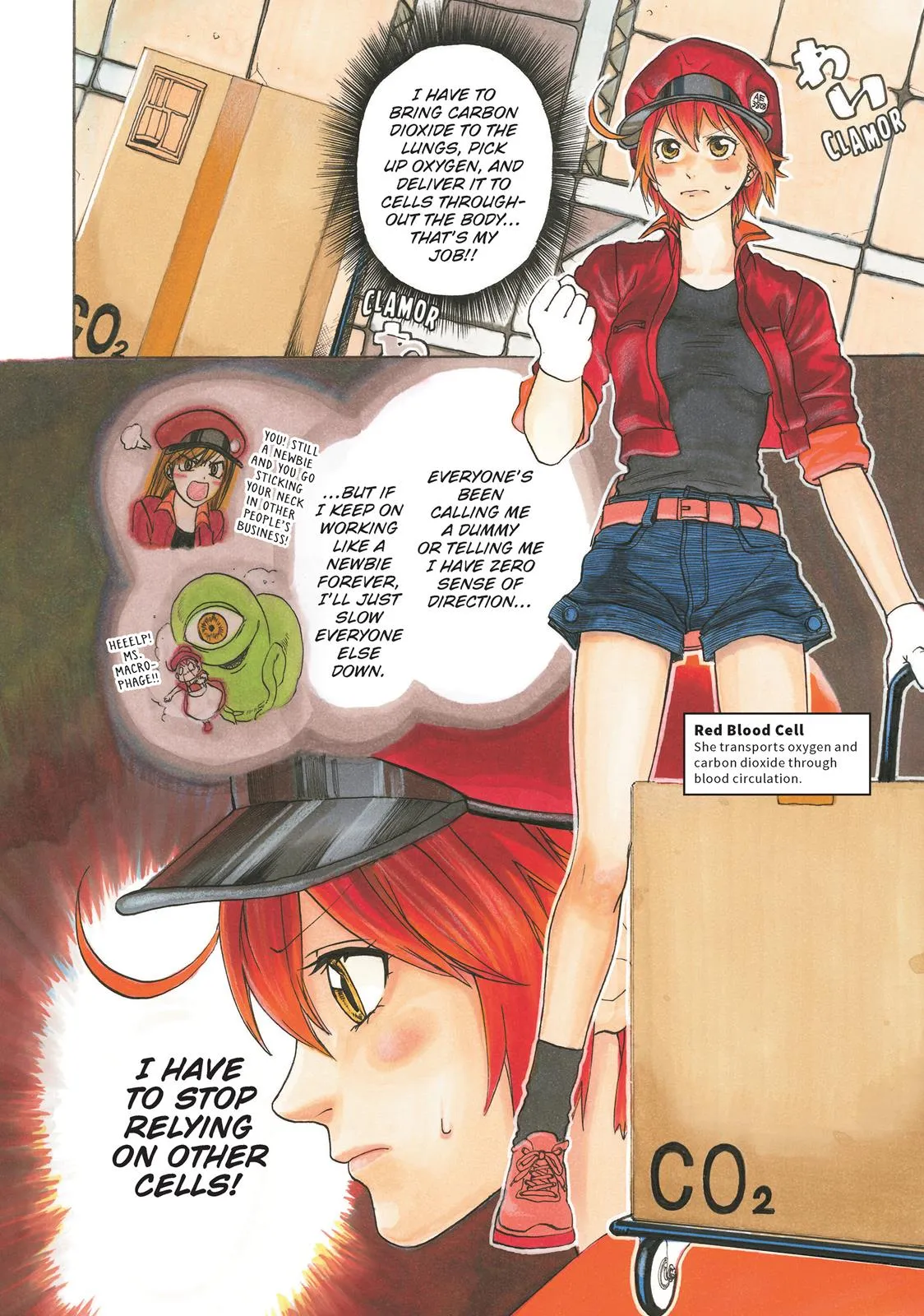 Read Cells at Work en Manga Online