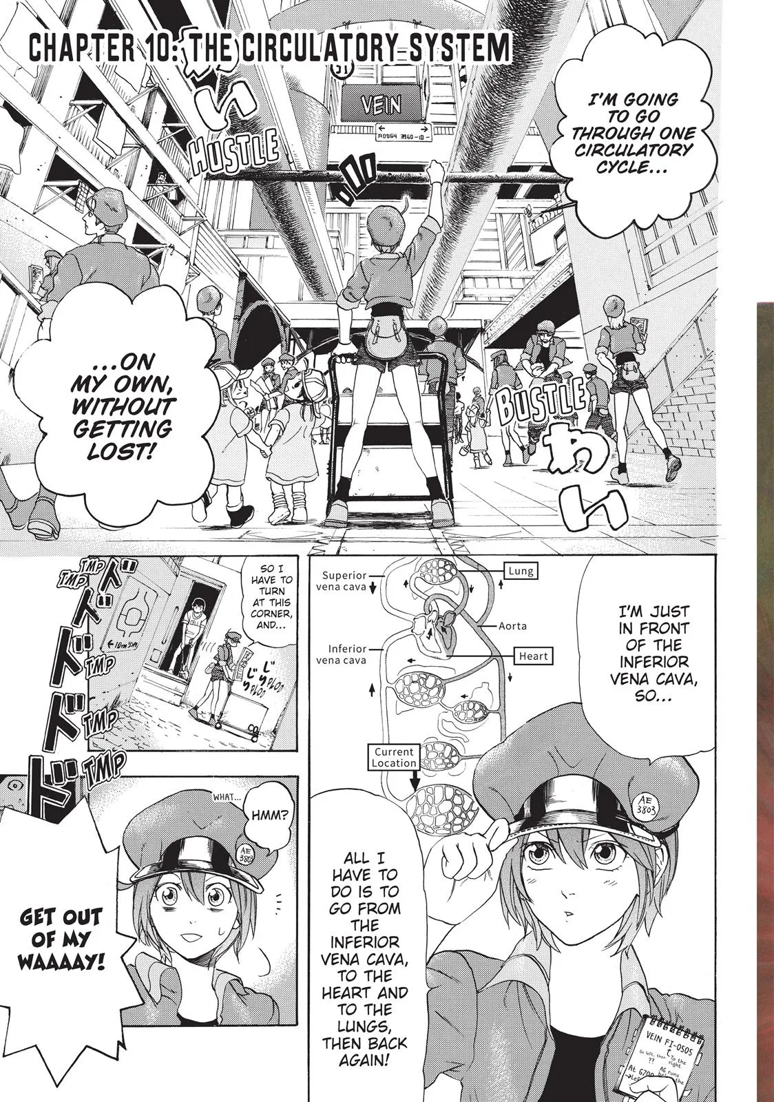Read Cells at Work en Manga Online