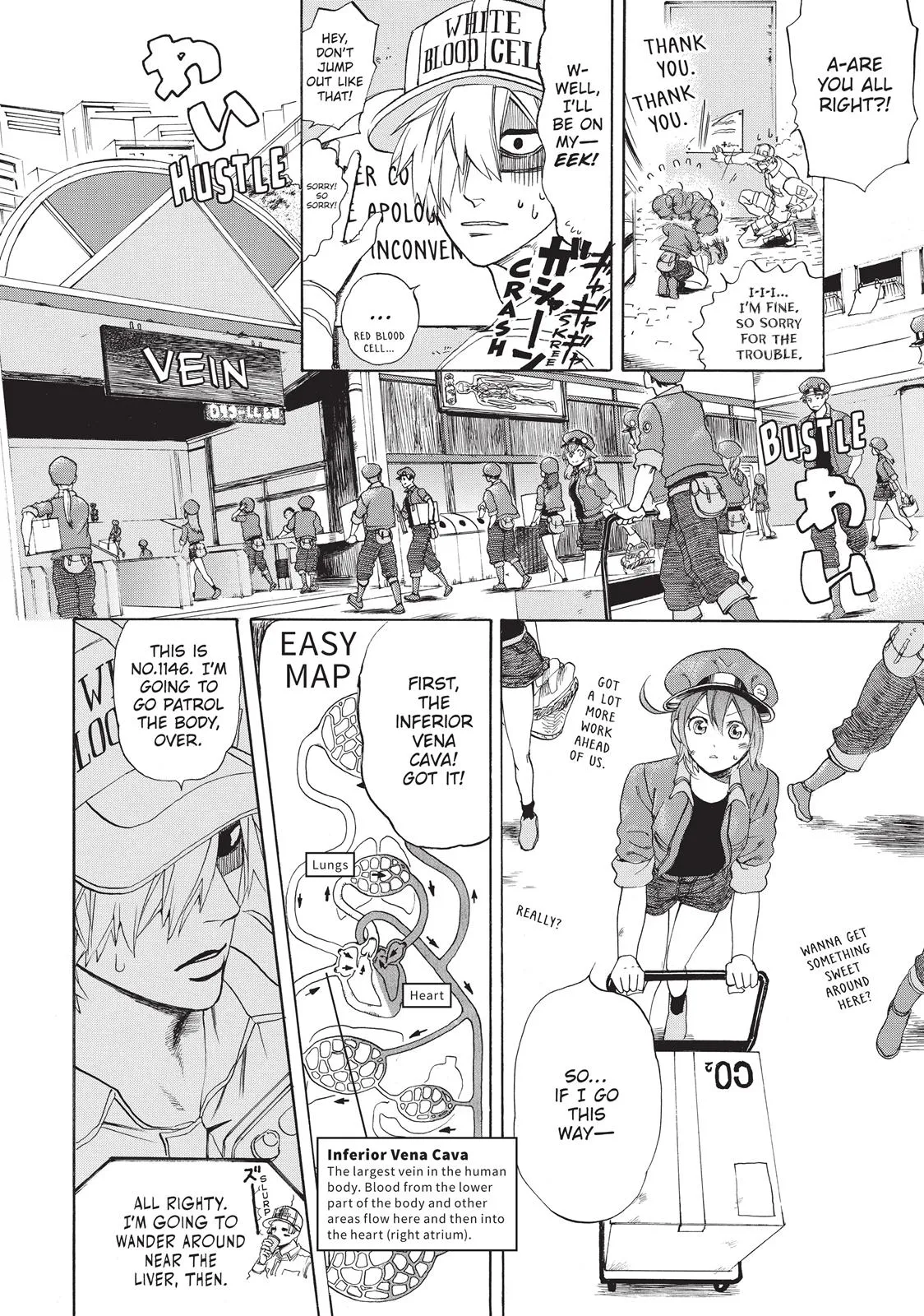Read Cells at Work en Manga Online