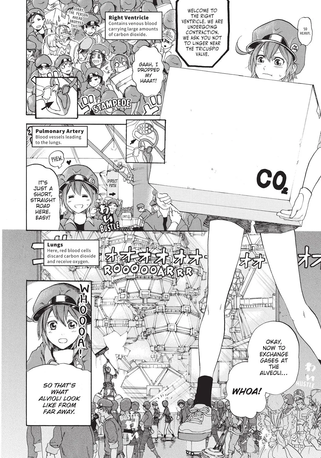 Read Cells at Work en Manga Online