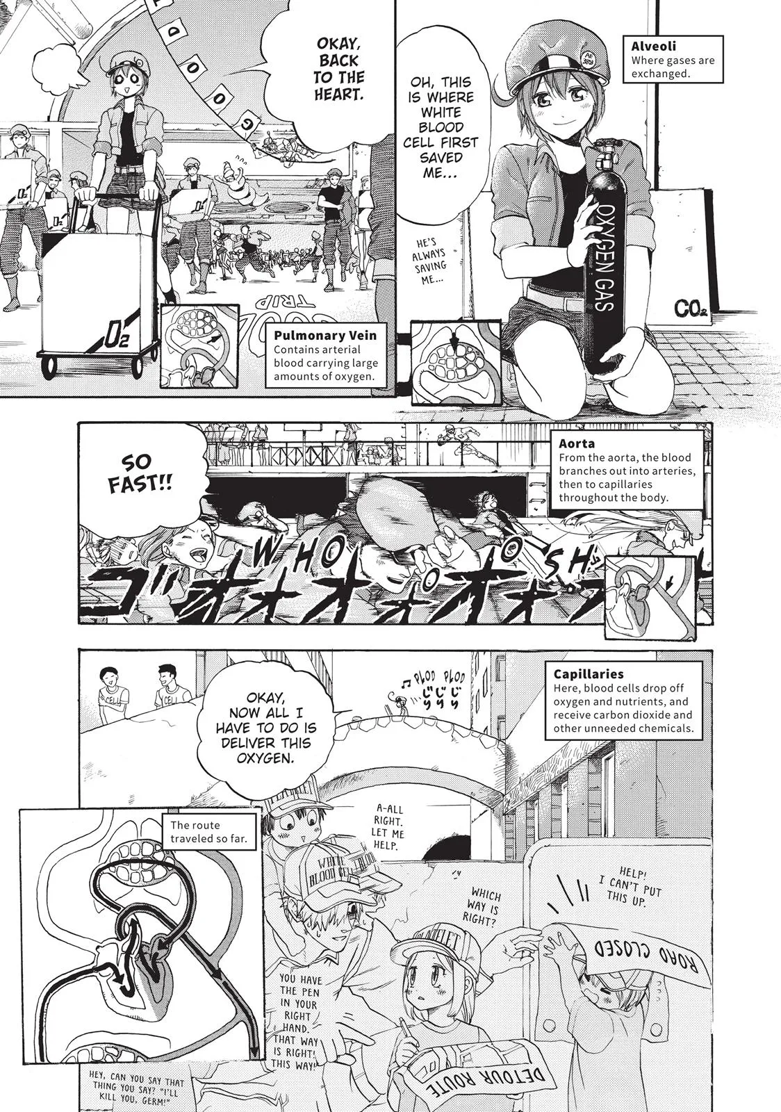 Read Cells at Work en Manga Online