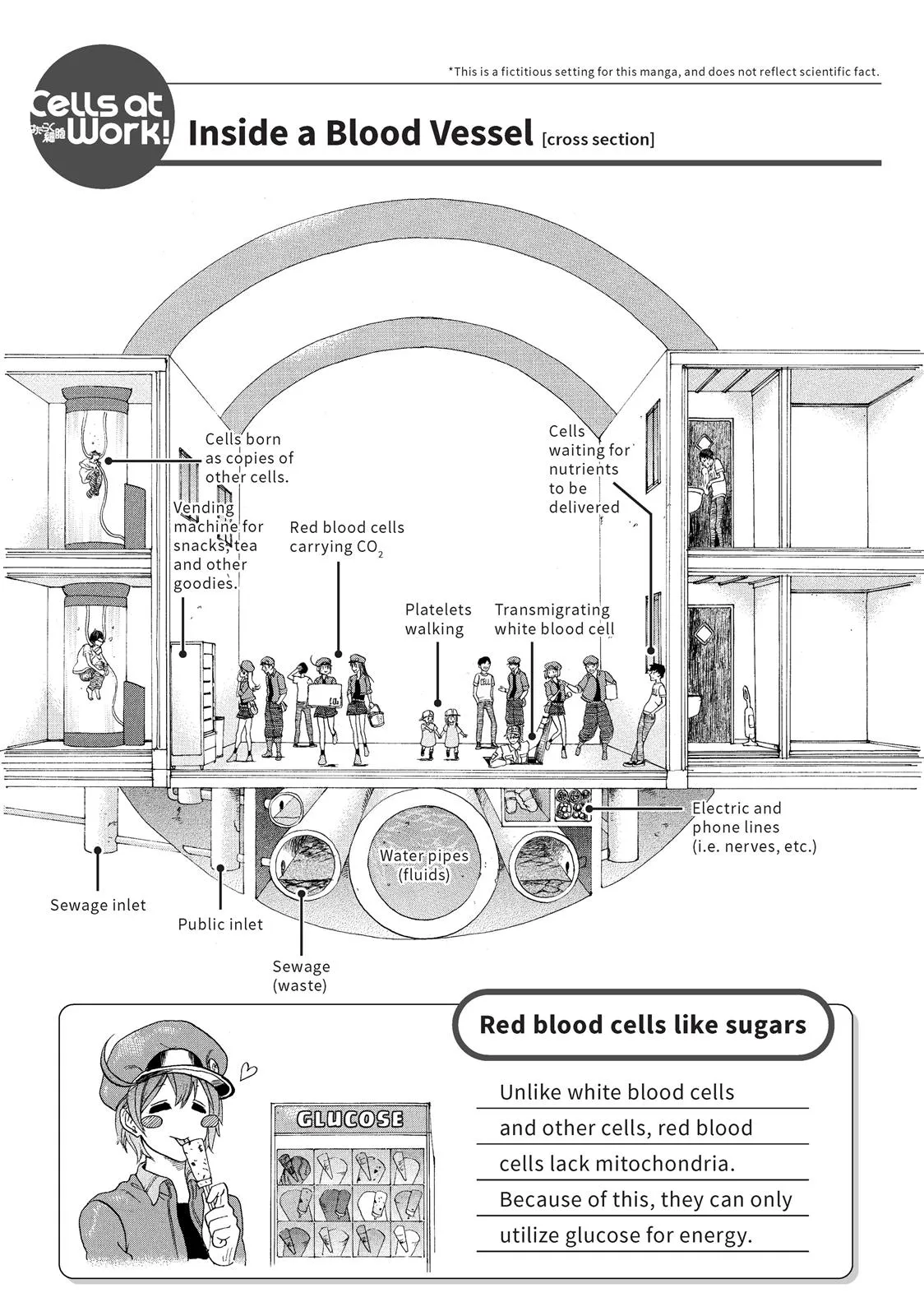 Read Cells at Work en Manga Online