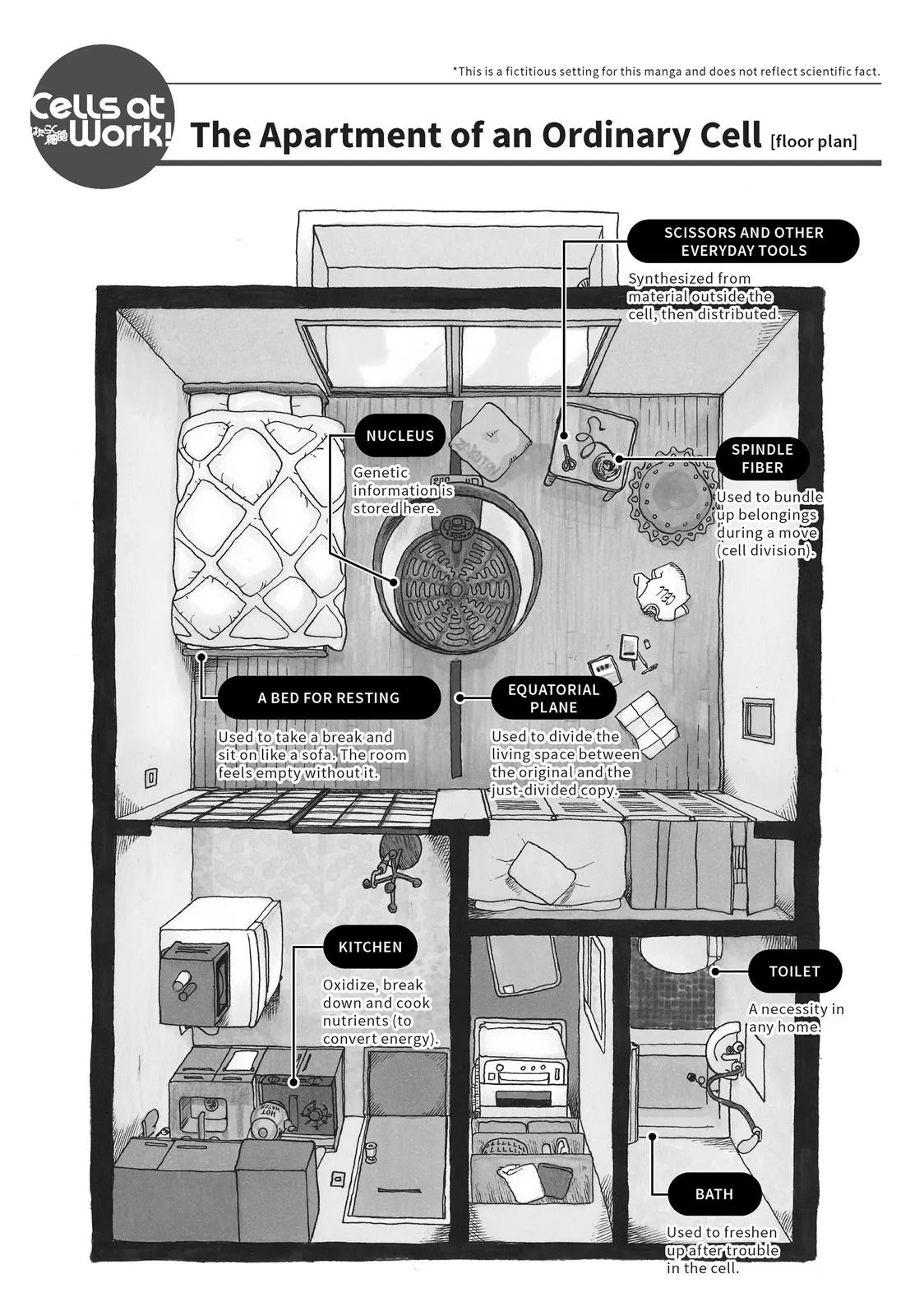 Read Cells at Work en Manga Online