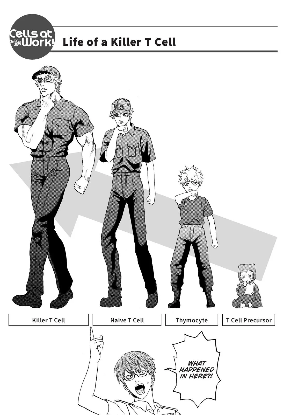 Read Cells at Work en Manga Online