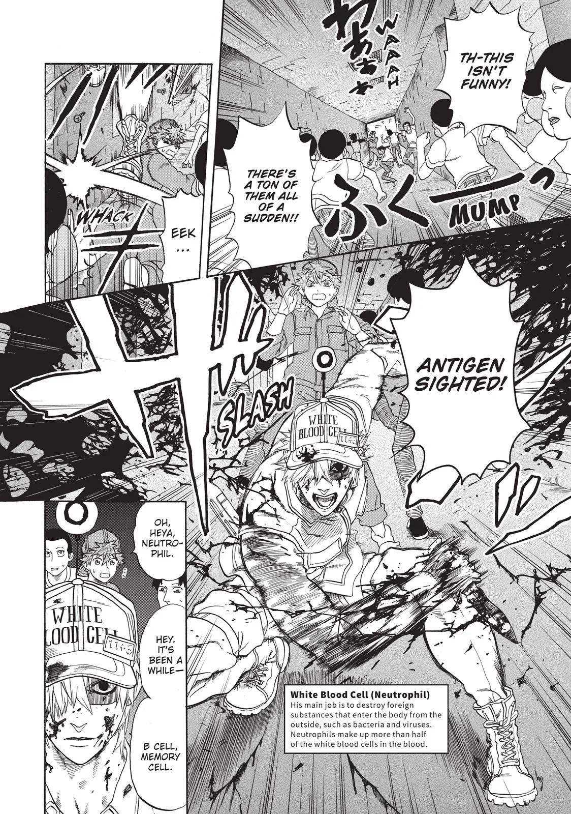 Read Cells at Work en Manga Online