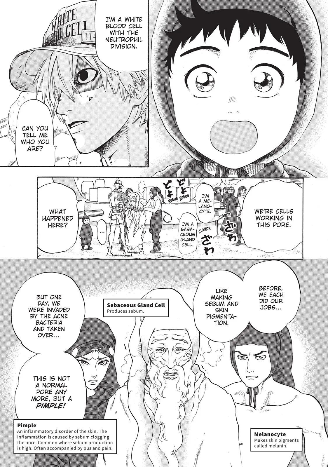 Read Cells at Work en Manga Online