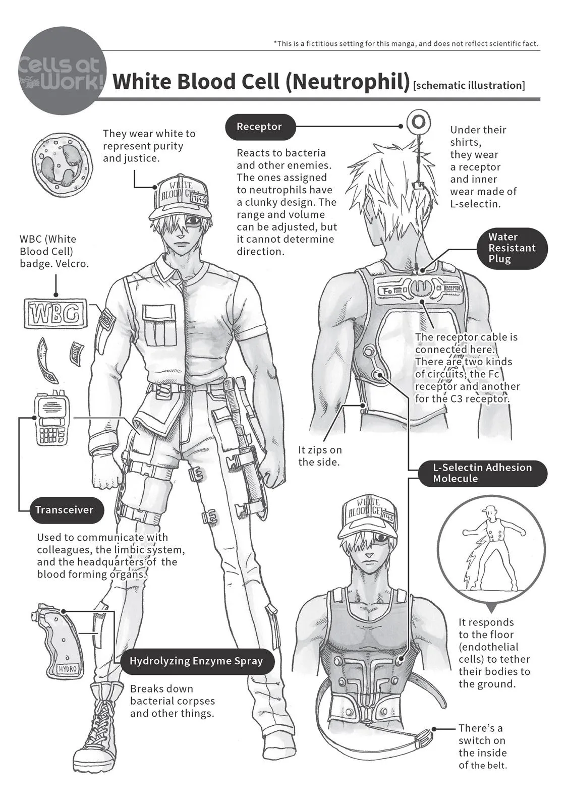 Read Cells at Work en Manga Online