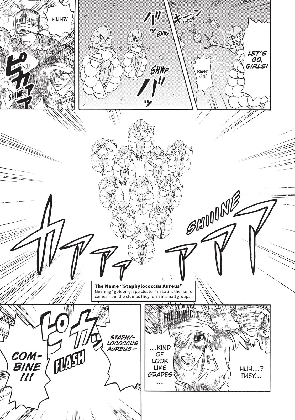 Read Cells at Work en Manga Online