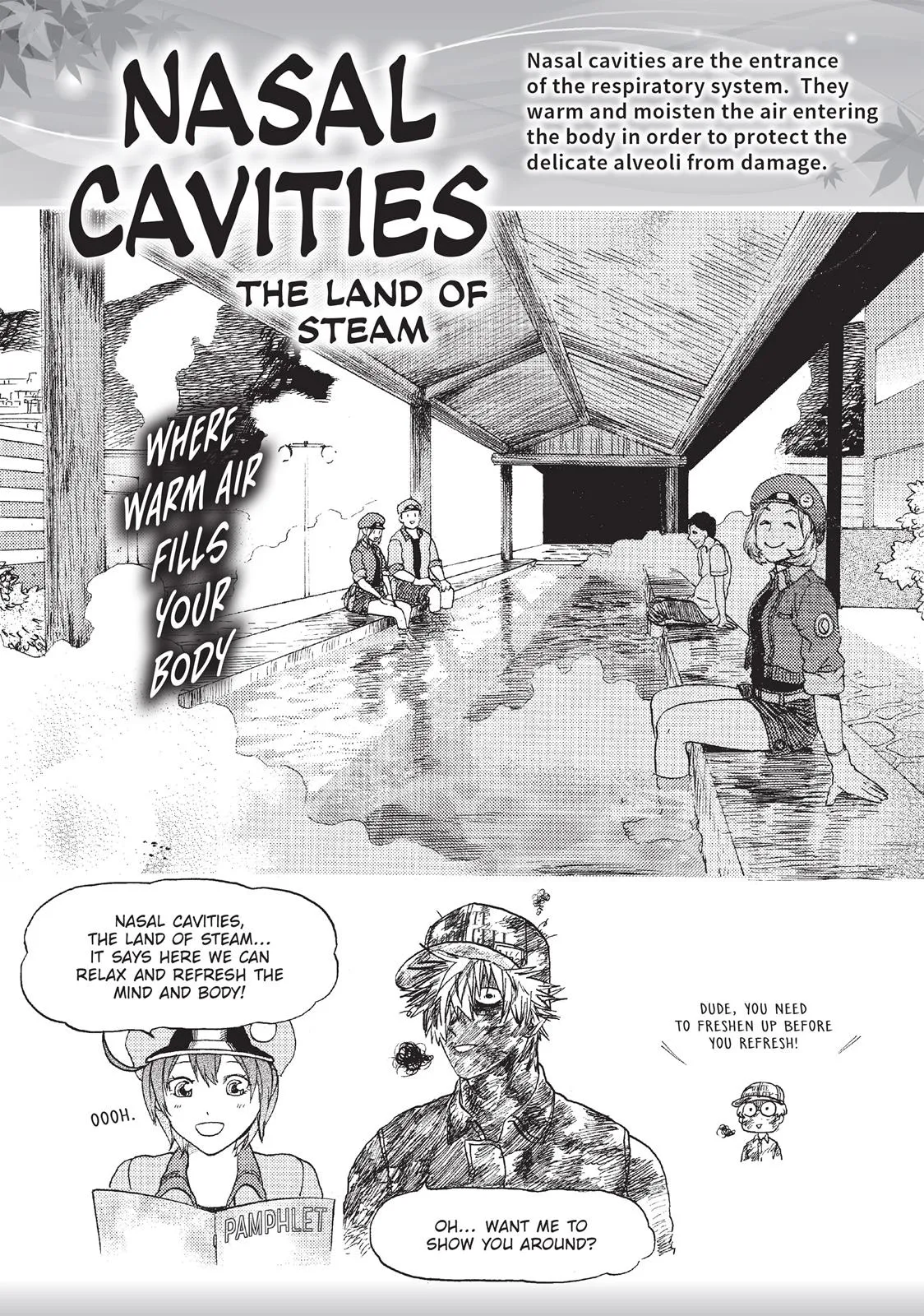 Read Cells at Work en Manga Online