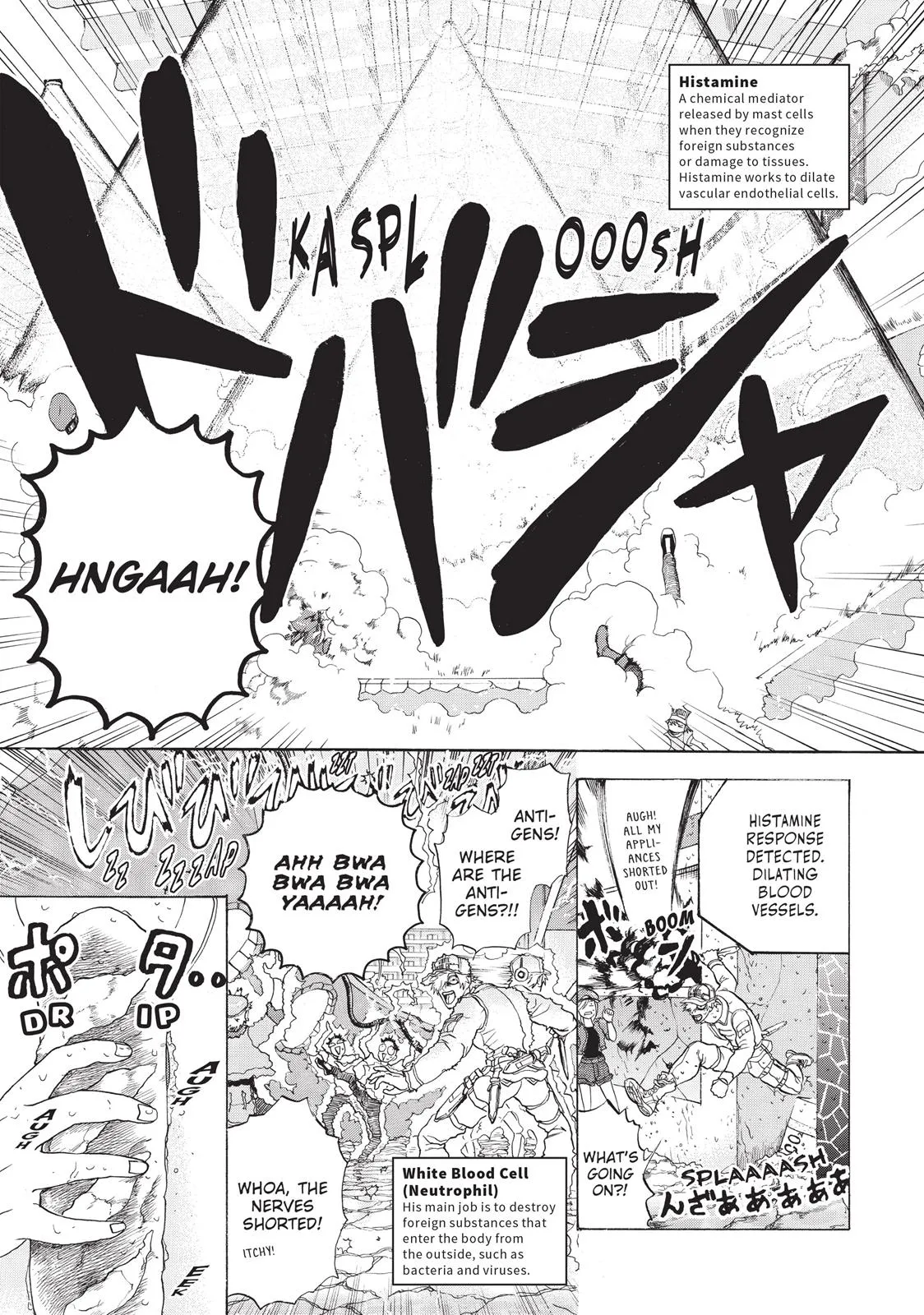 Read Cells at Work en Manga Online