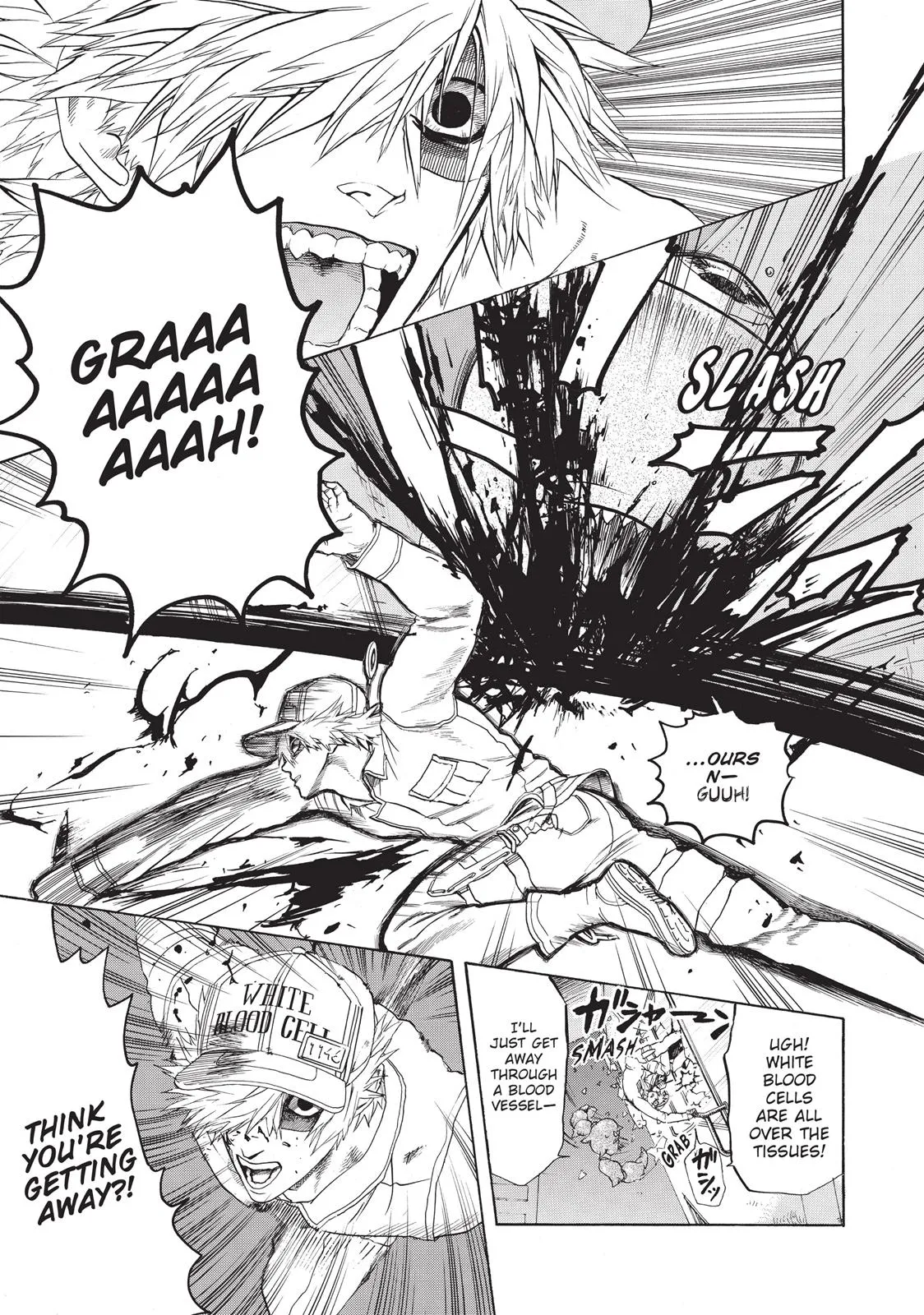 Read Cells at Work en Manga Online