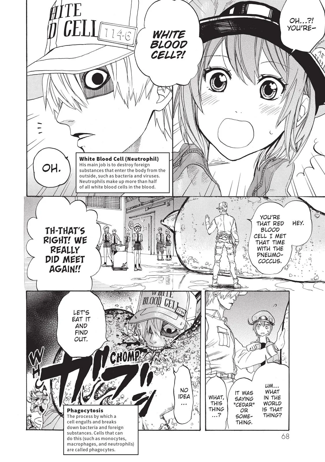 Read Cells at Work en Manga Online