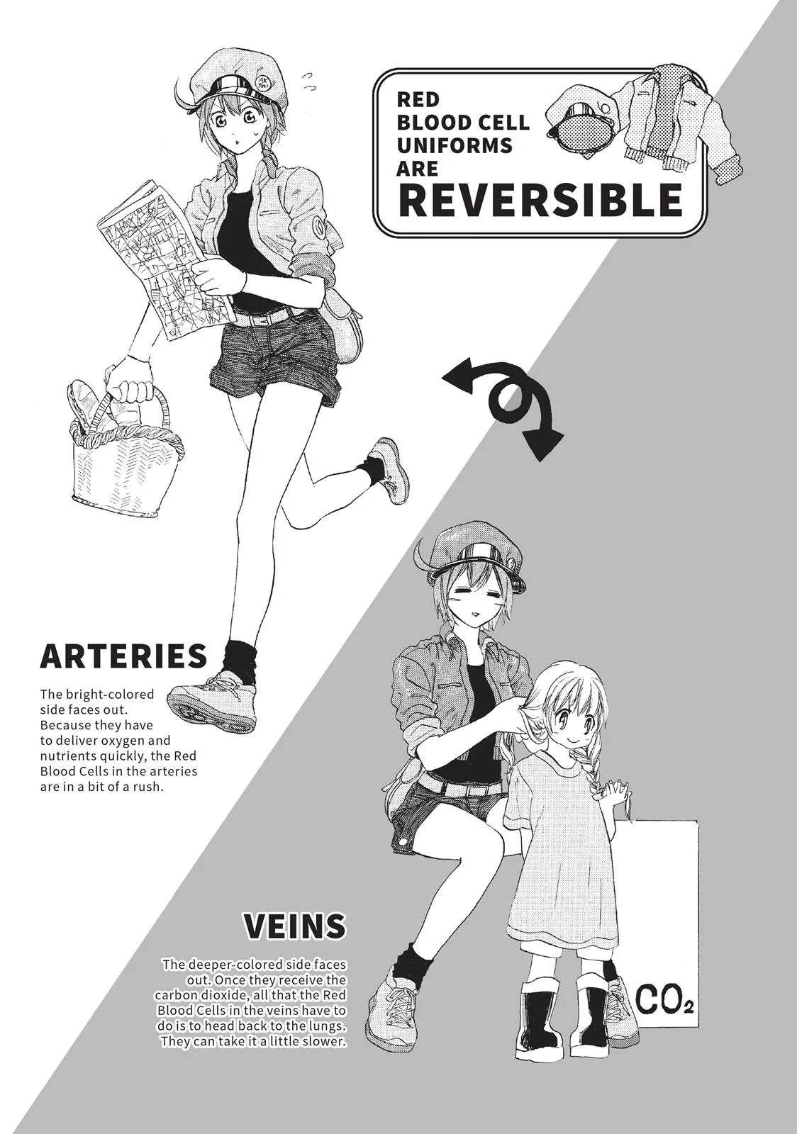 Read Cells at Work en Manga Online