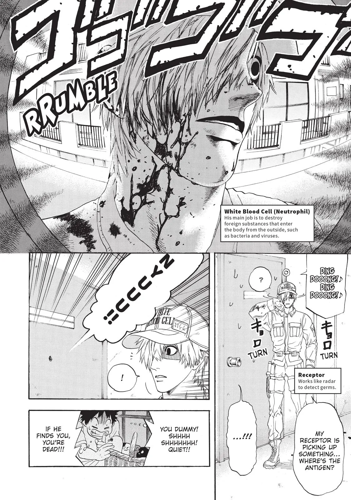 Read Cells at Work en Manga Online