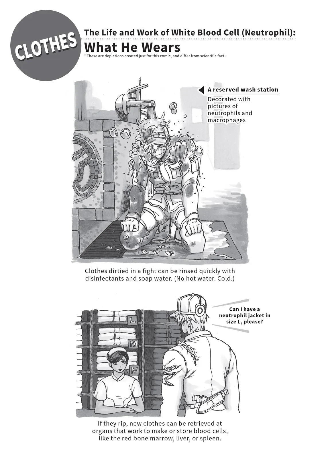 Read Cells at Work en Manga Online