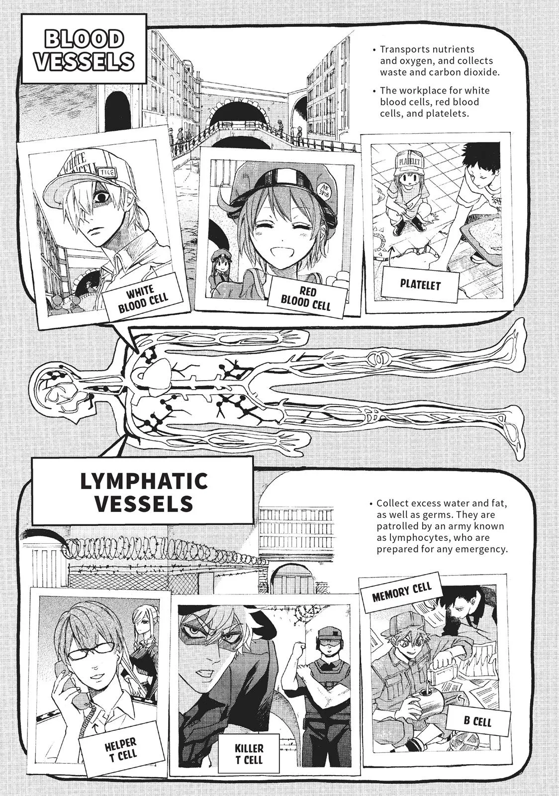 Read Cells at Work en Manga Online