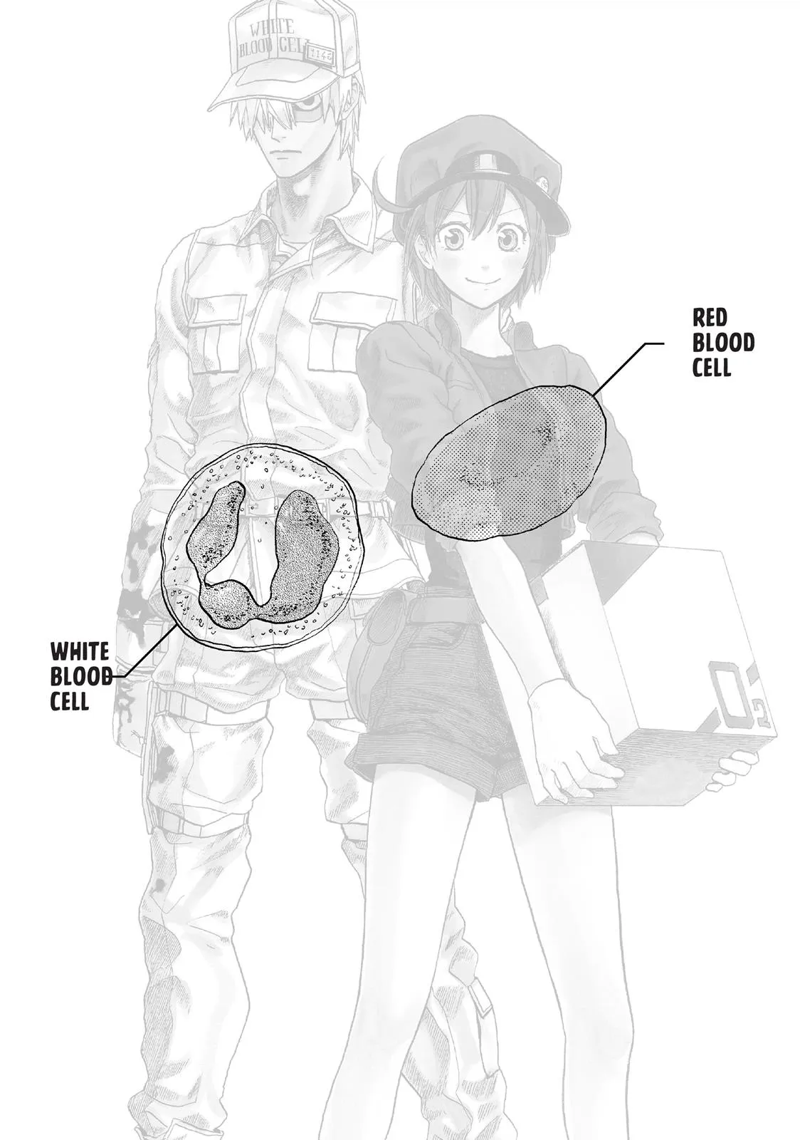 Read Cells at Work en Manga Online