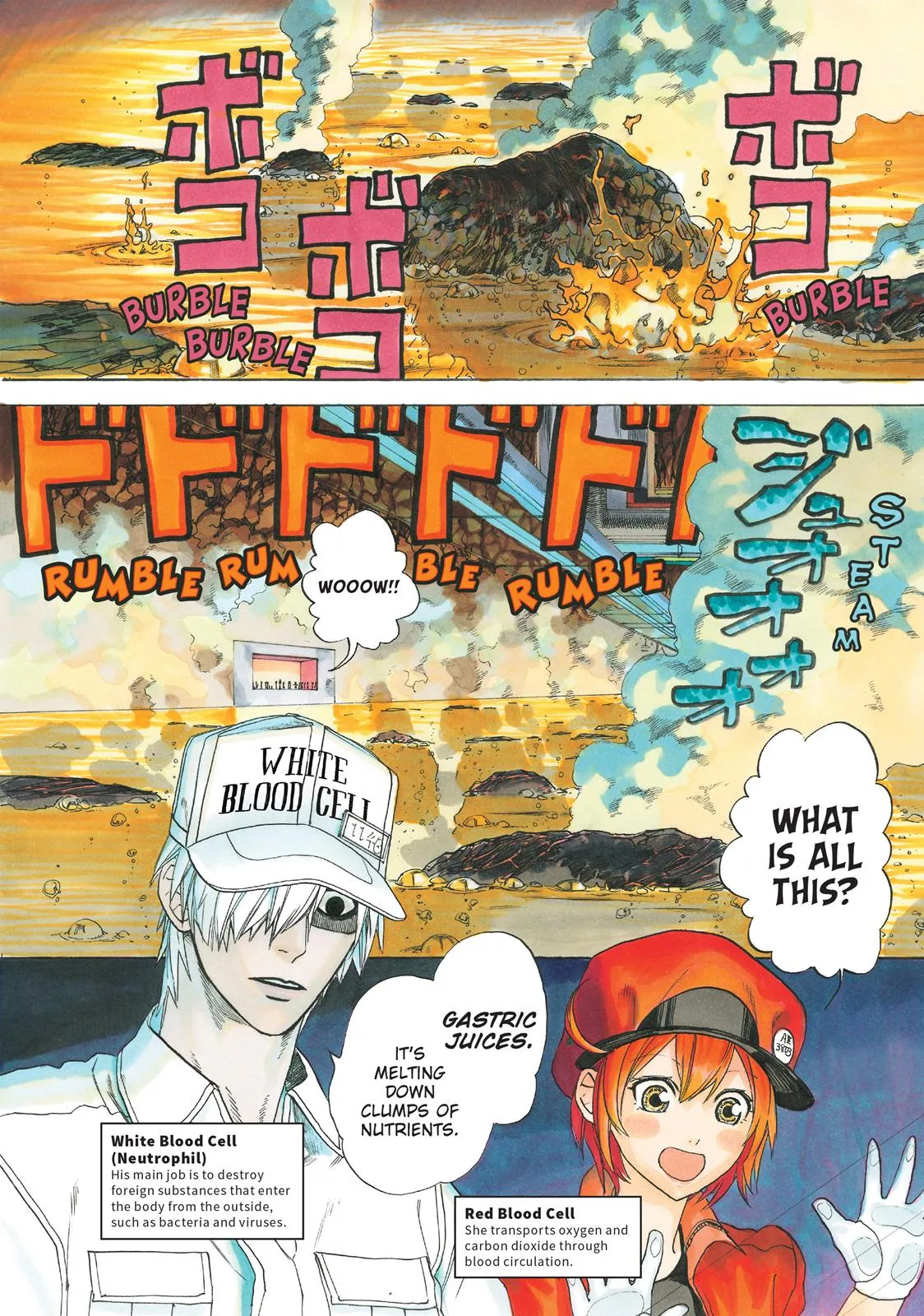 Read Cells at Work en Manga Online