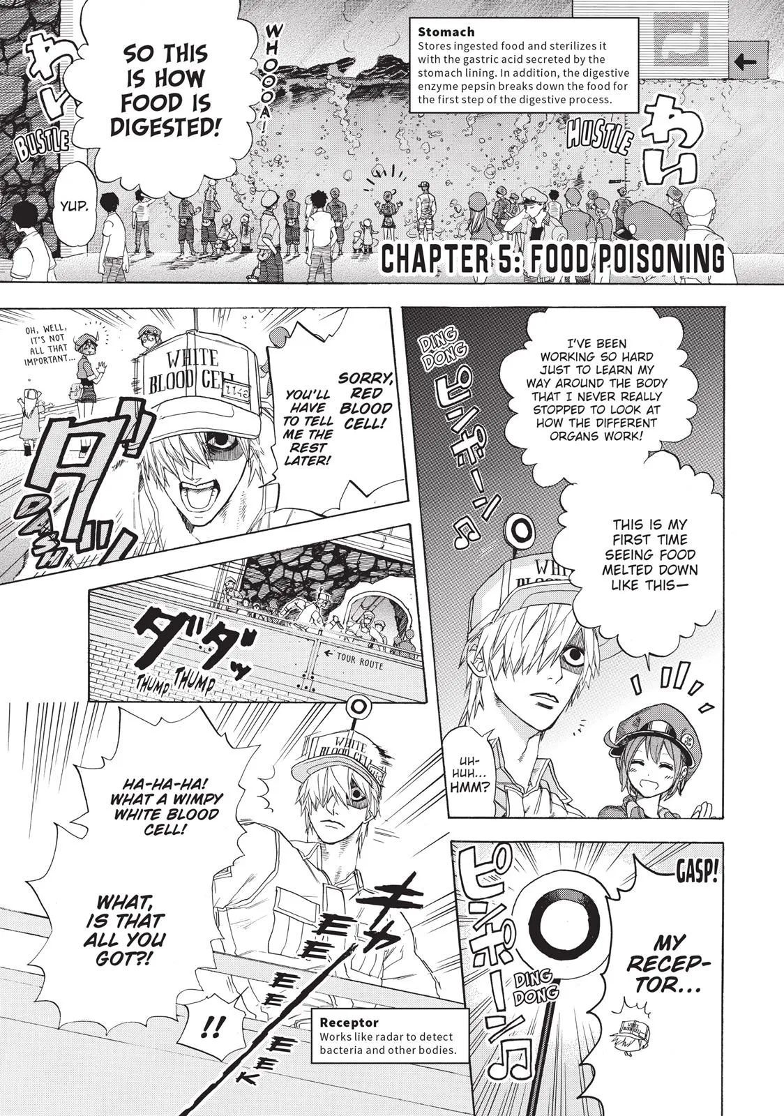 Read Cells at Work en Manga Online