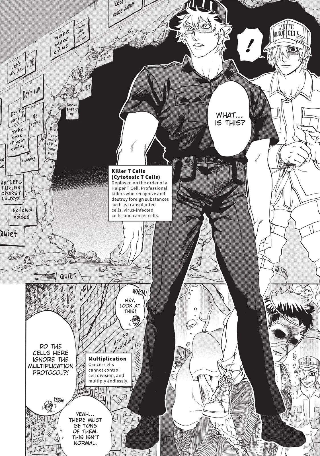 Read Cells at Work en Manga Online