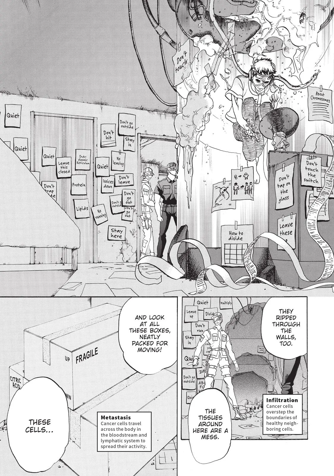 Read Cells at Work en Manga Online