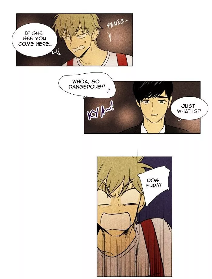 Read Cheese in the Trap en Manga Online